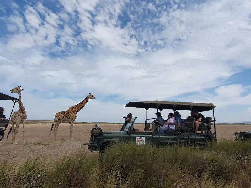 Thali Thali Game Lodge